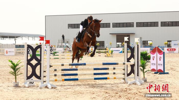 策马扬鞭少年争锋：宁夏青少年马术锦标赛银川