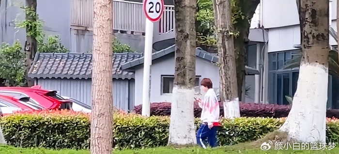 马龙许昕现身成都指导年轻选手 伦敦世乒赛战袍