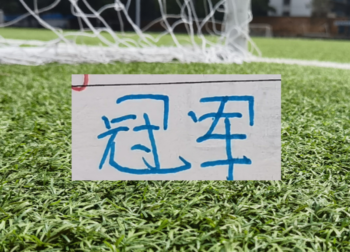 申花主场迎战成都蓉城 马宁执法成关键变量